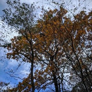 Meet your Posher, Ankita